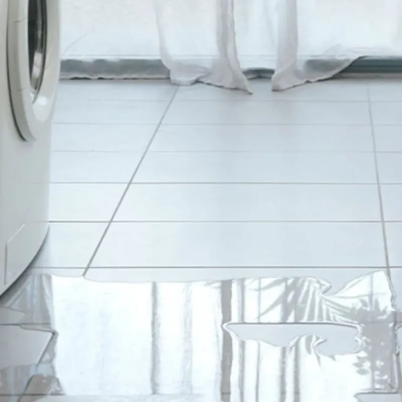 Appliance Leak Cleanup in Jerseyville, IL