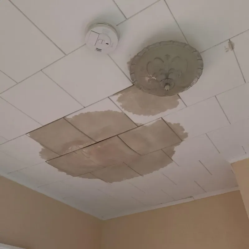 Ceiling Water Damage Repair in Jerseyville, IL