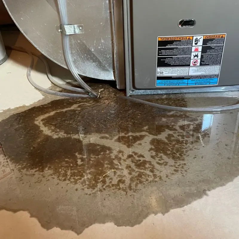Pipe Burst and Leak Restoration in Jerseyville, IL