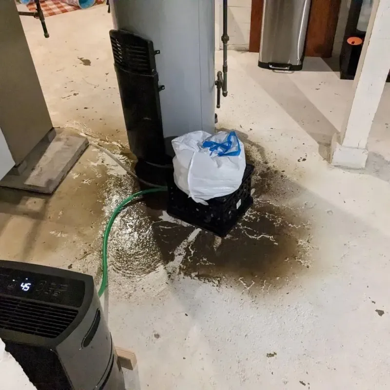 Sewage Backup Cleanup Service in Jerseyville, IL